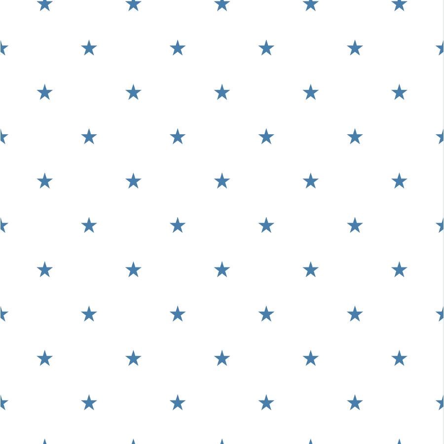 Tapet Duro 1900 Star 397-03