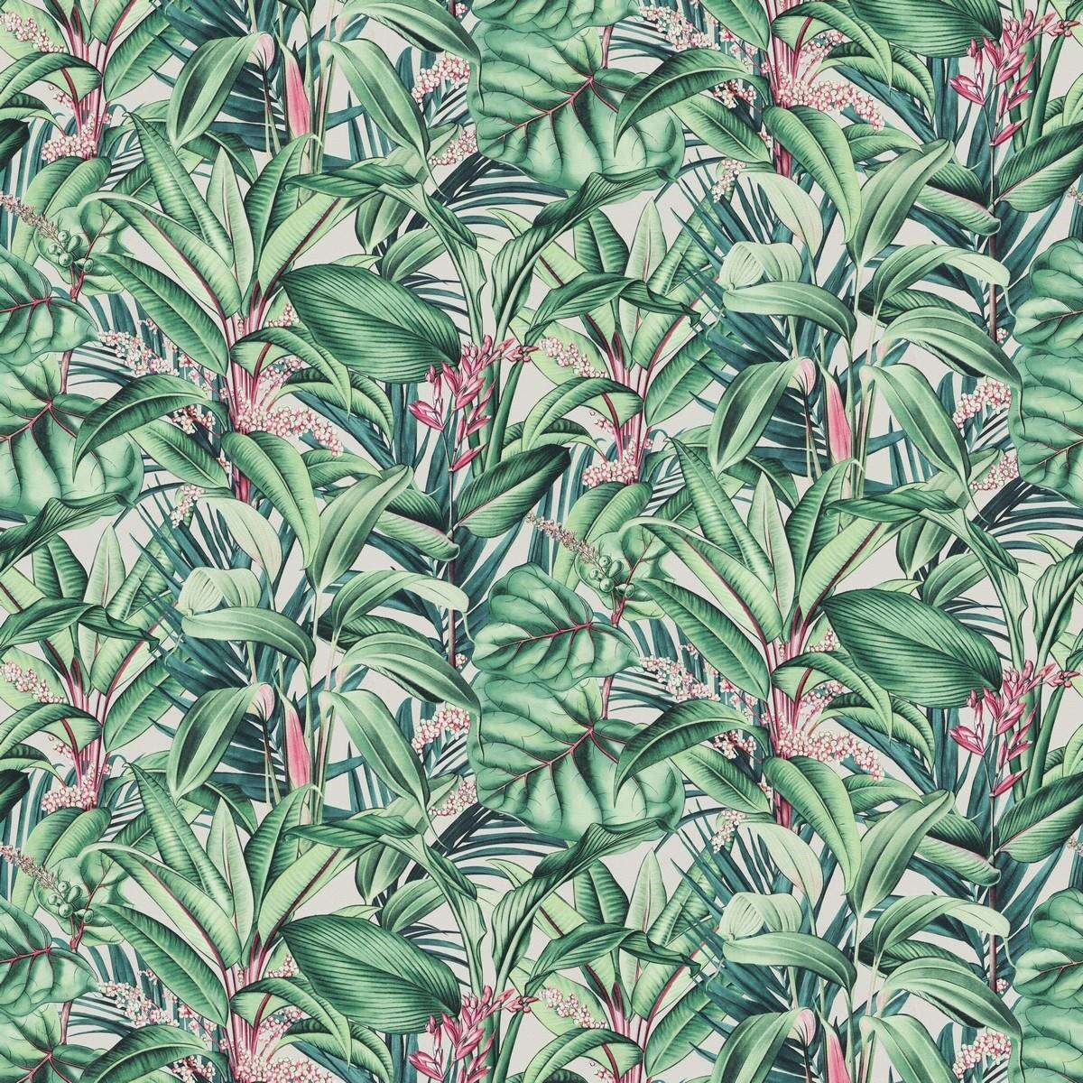 Tapet Paradisio 2 1012207