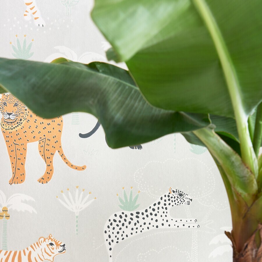 Tapet Wish Upon Your Dreams Black Panther 134-01