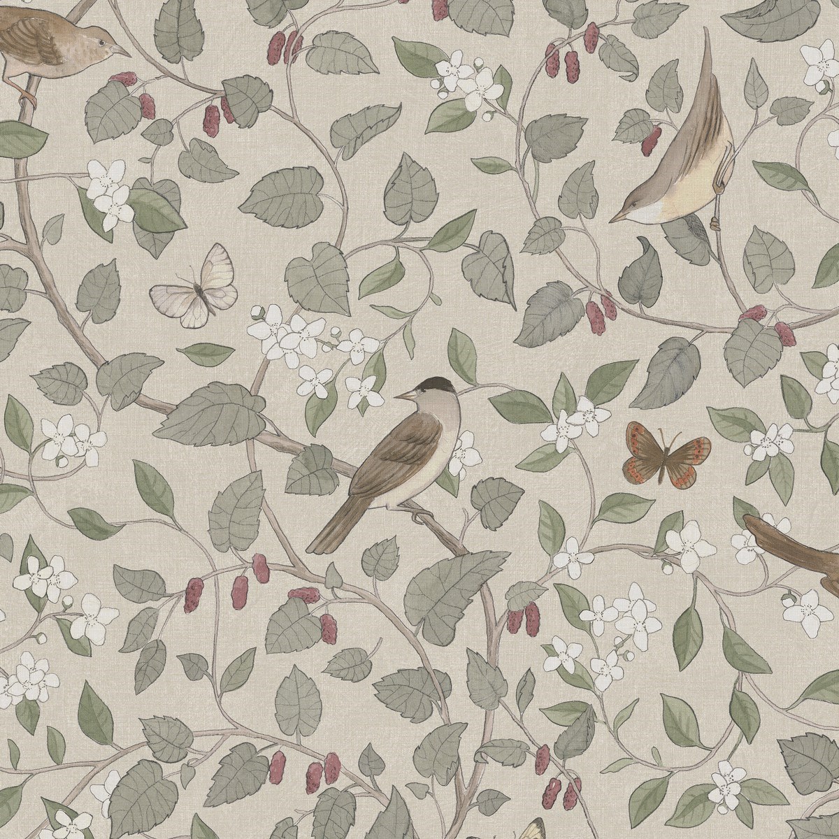 Tapet Special Edition Flowery Sångfåglar 2056