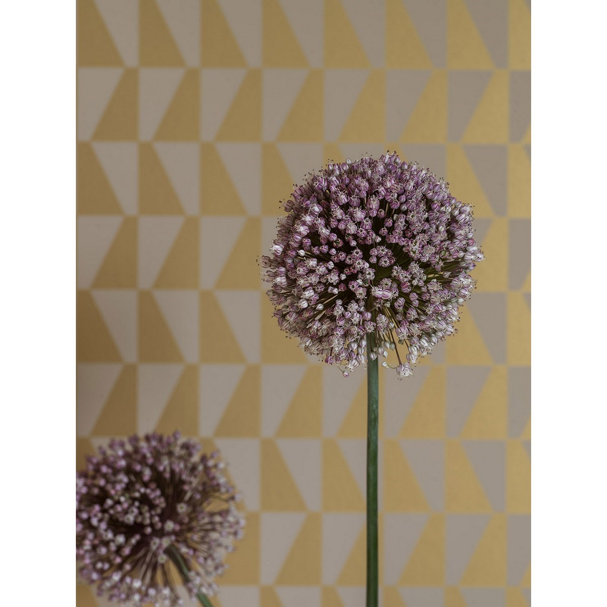 Tapet Scandinavian Designers III Arne Jacobsen Trapez 1992