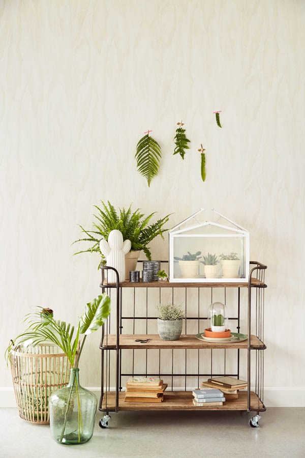 Tapet Geonature 366008