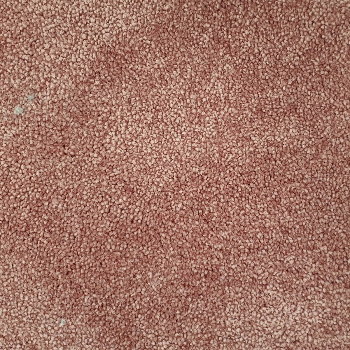 Heltäckningsmatta Carisma 10 400cm, Rosa