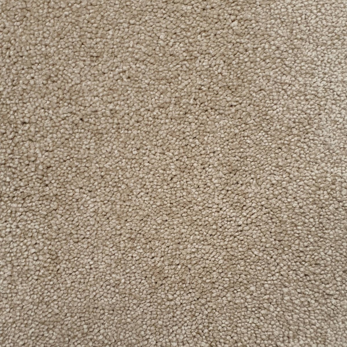 Heltäckningsmatta Carisma 72 400cm, Beige