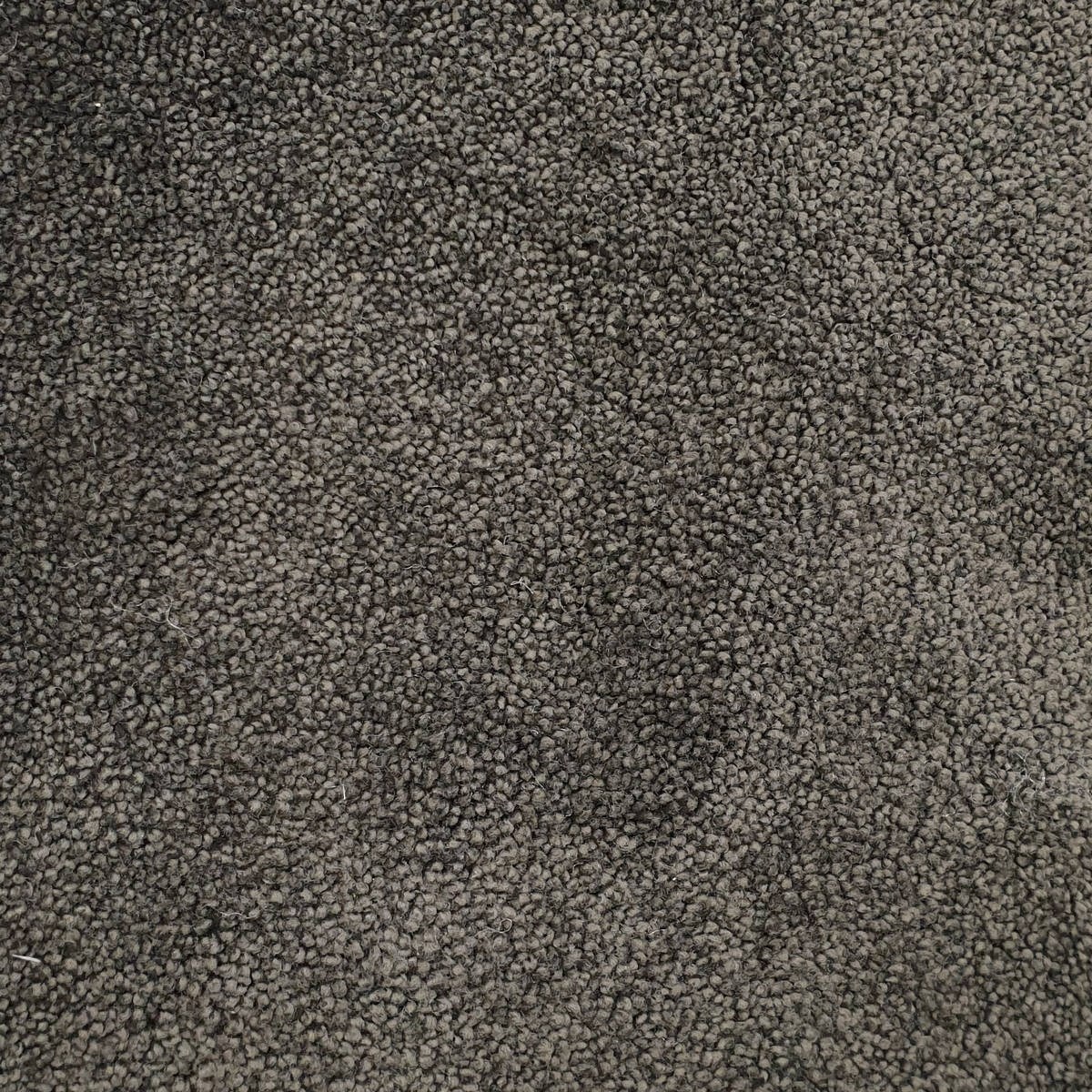 Heltäckningsmatta Carisma 79 400cm, Svart