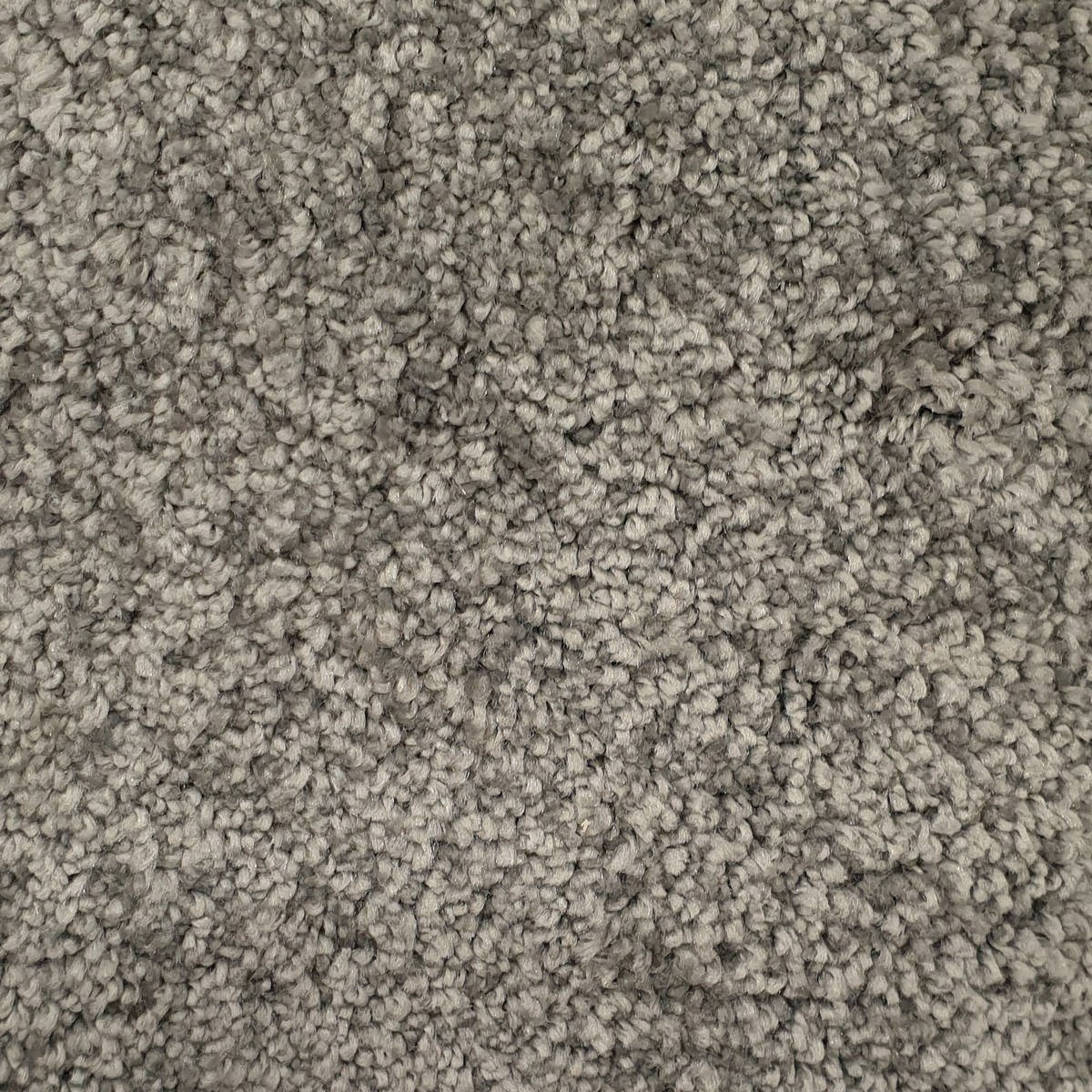 Heltäckningsmatta Galaxy 176 400cm, Grå