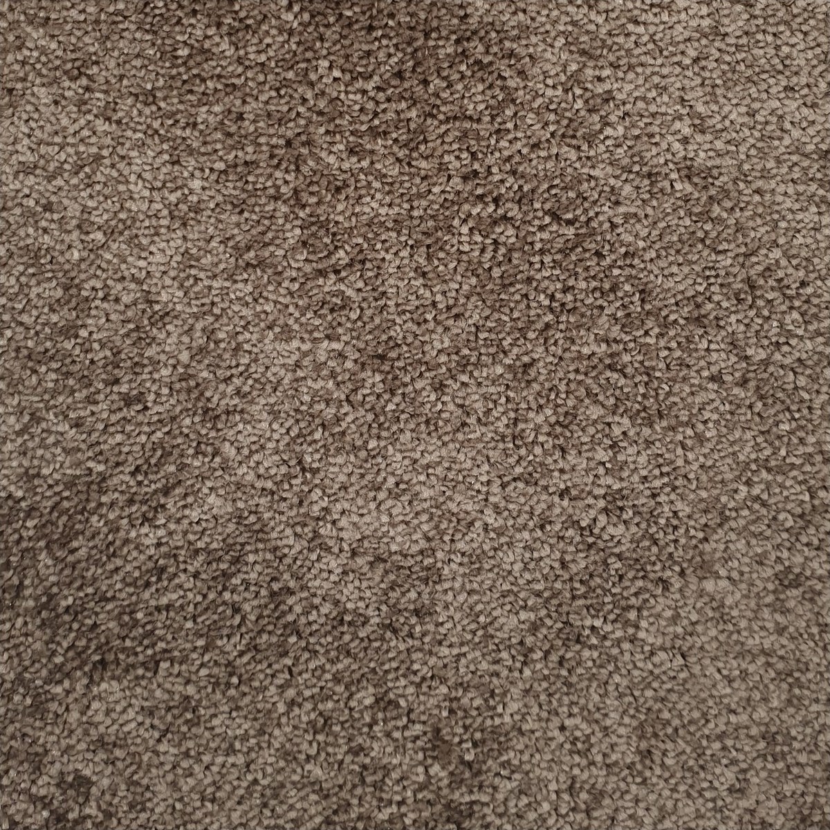 Heltäckningsmatta Veneto 44 400cm, Brun