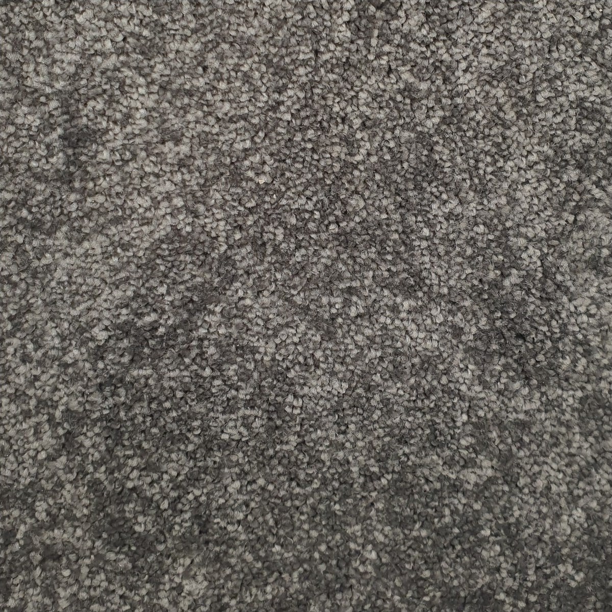 Heltäckningsmatta Veneto 96 400cm, Grå