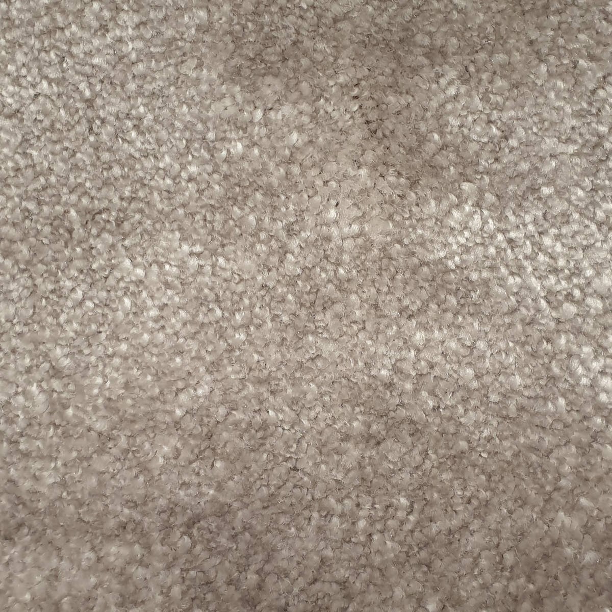 Heltäckningsmatta Chanel 305 400cm, Beige