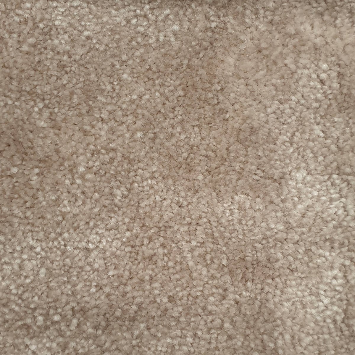 Heltäckningsmatta Chanel 105 400cm, Beige