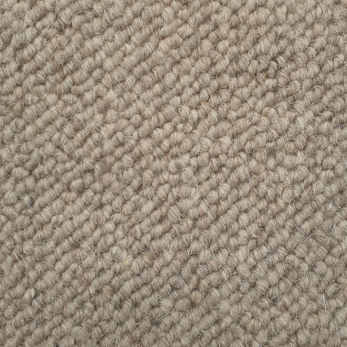 Heltäckningsmatta Canberra Wool 173 400cm, Beige