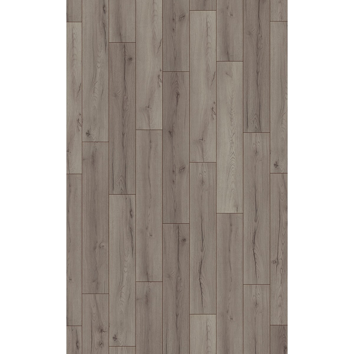 Laminatgolv Superior Advanced Century Oak D4175A Grey 1-stav