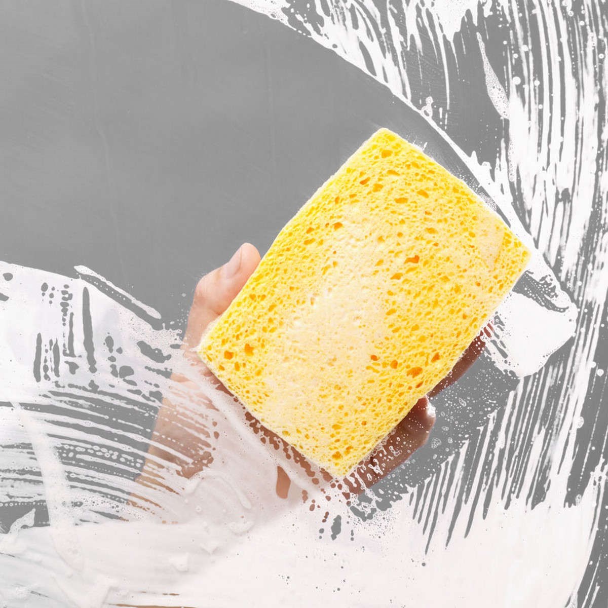 Cellulosasvamp 160x120x45mm