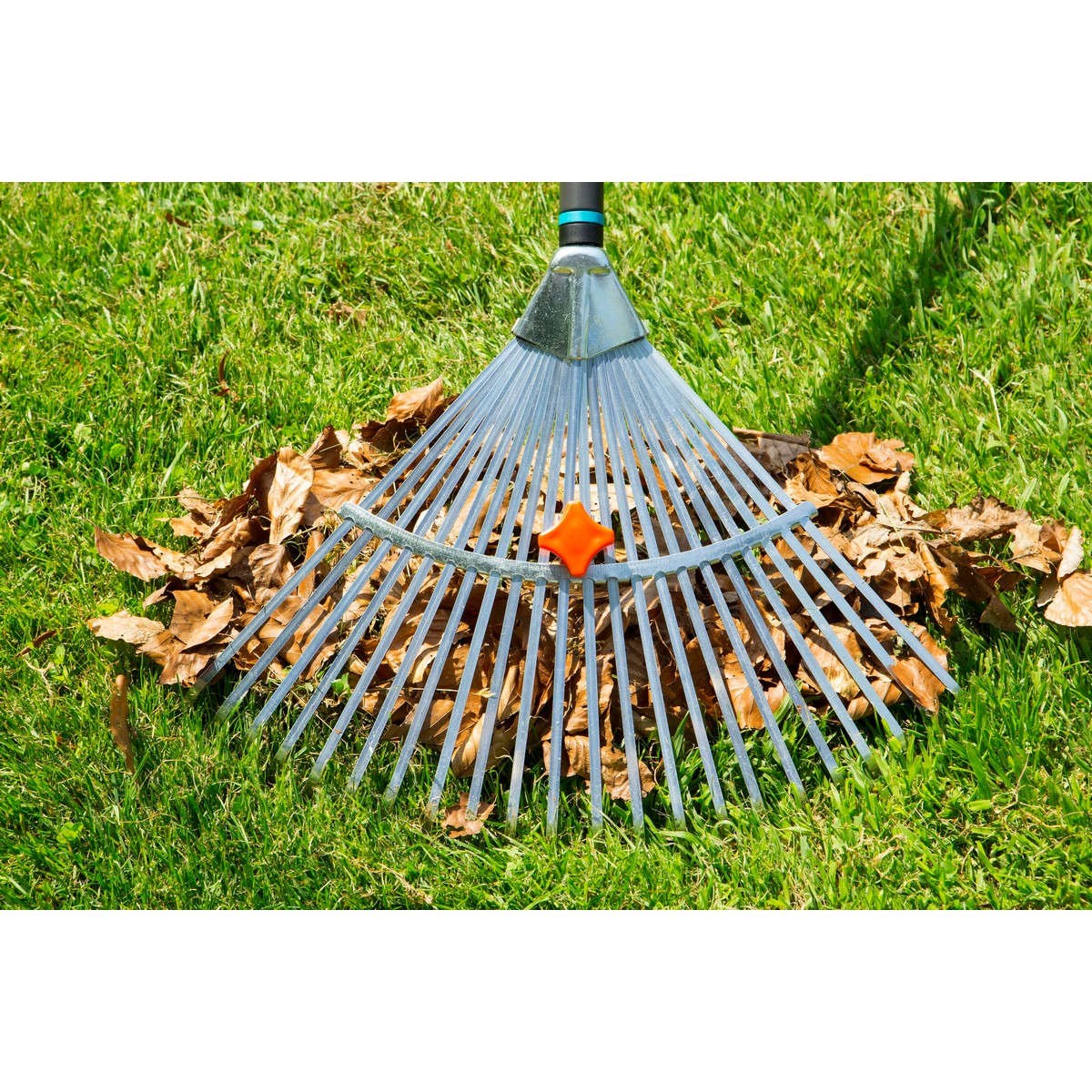 Kratta Natureline® Ställbar