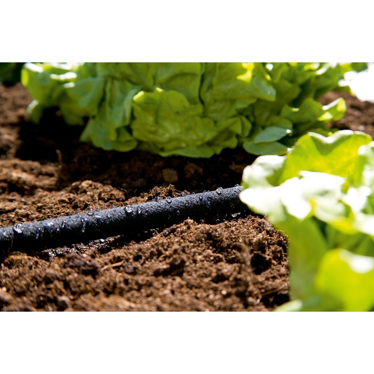 Fuktslang Inkl Ventil