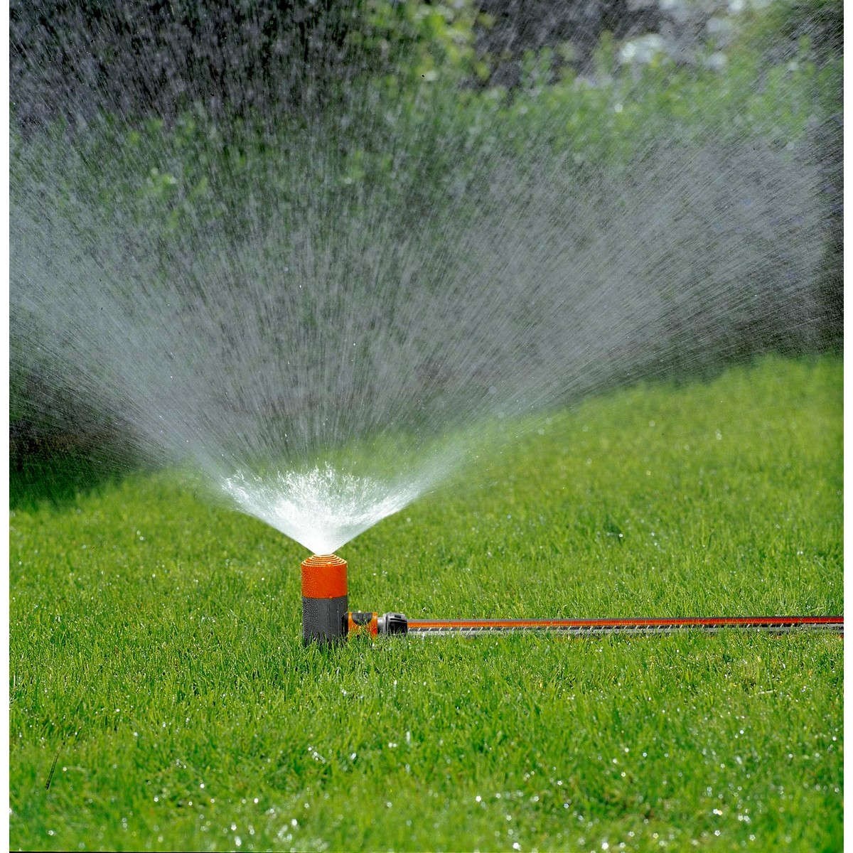 Vattenspridare Classic Fox Sprinkler