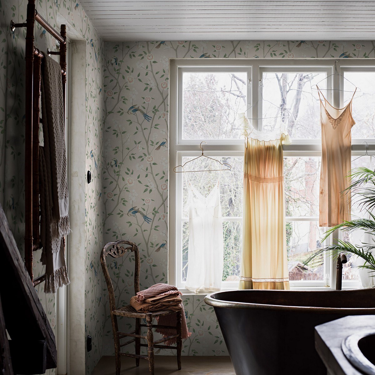 Tapet Dreamy Escape Paradise Birds 4270