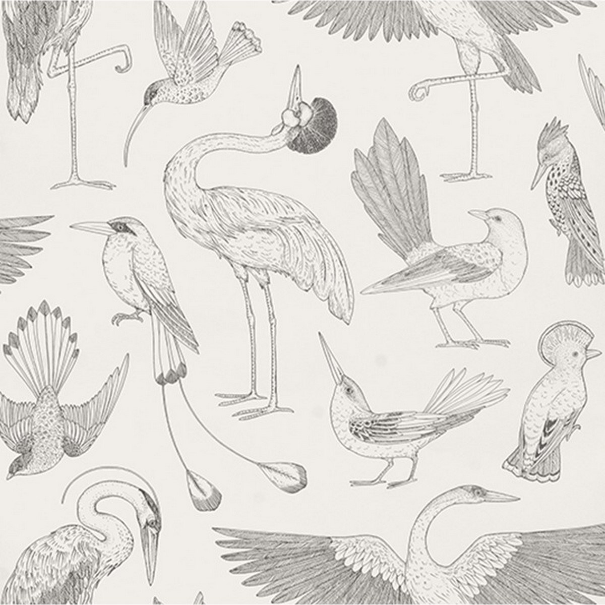 Tapet Katie Scott Birds 1101851768