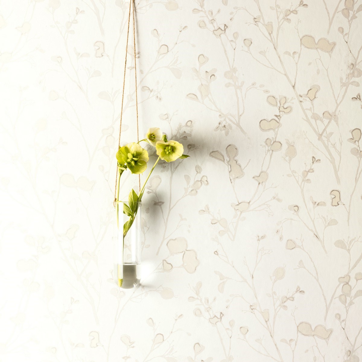 Tapet Lotus Alder Snow Lot401