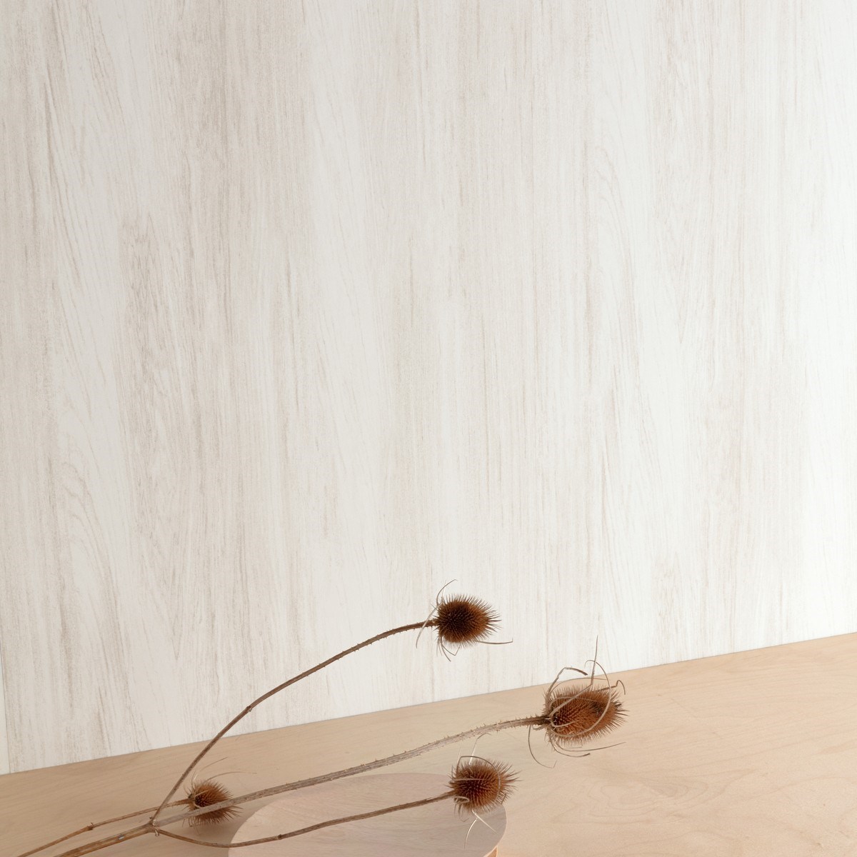 Tapet Lotus Wood Snow Lot601