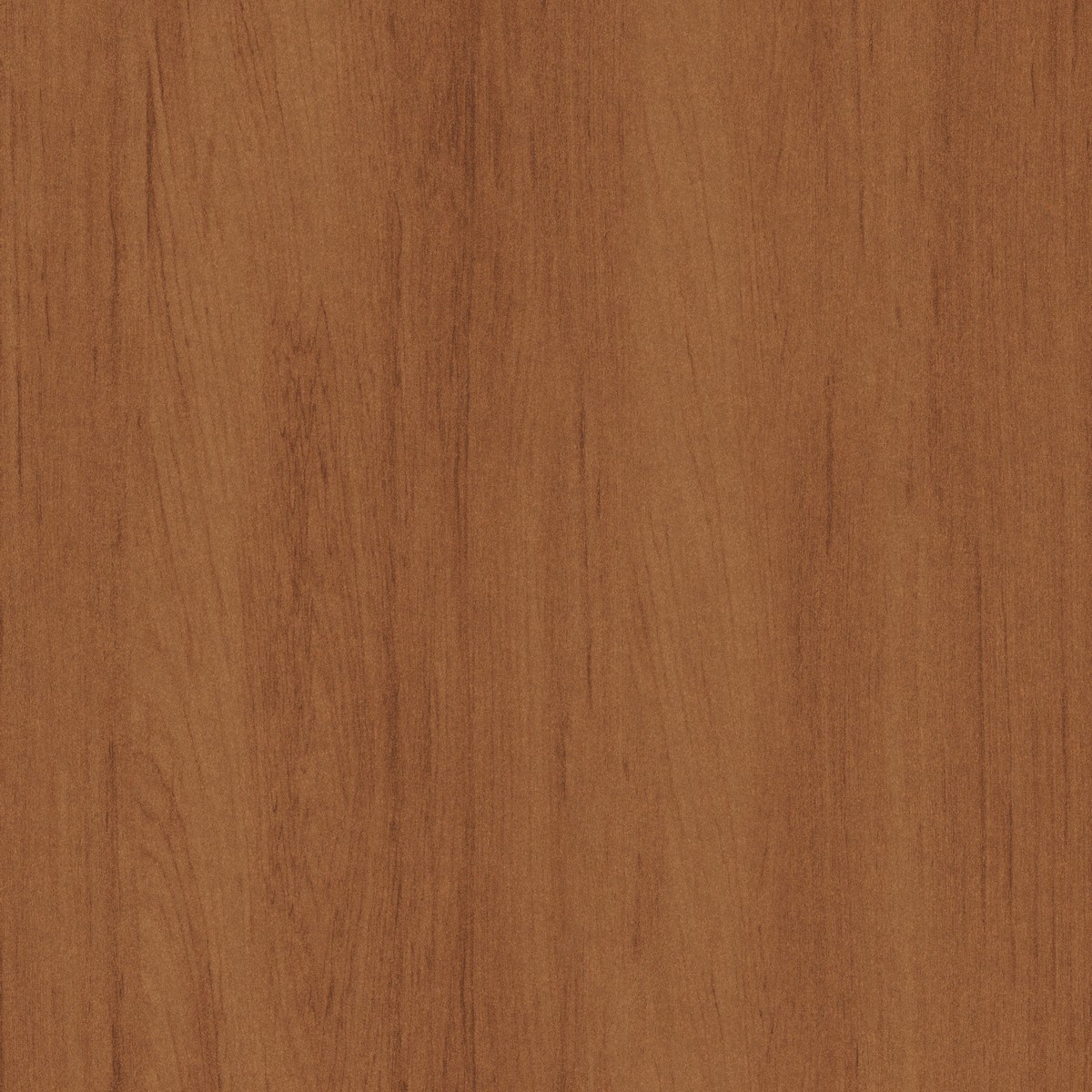 Tapet Lotus Wood Terra Lot603