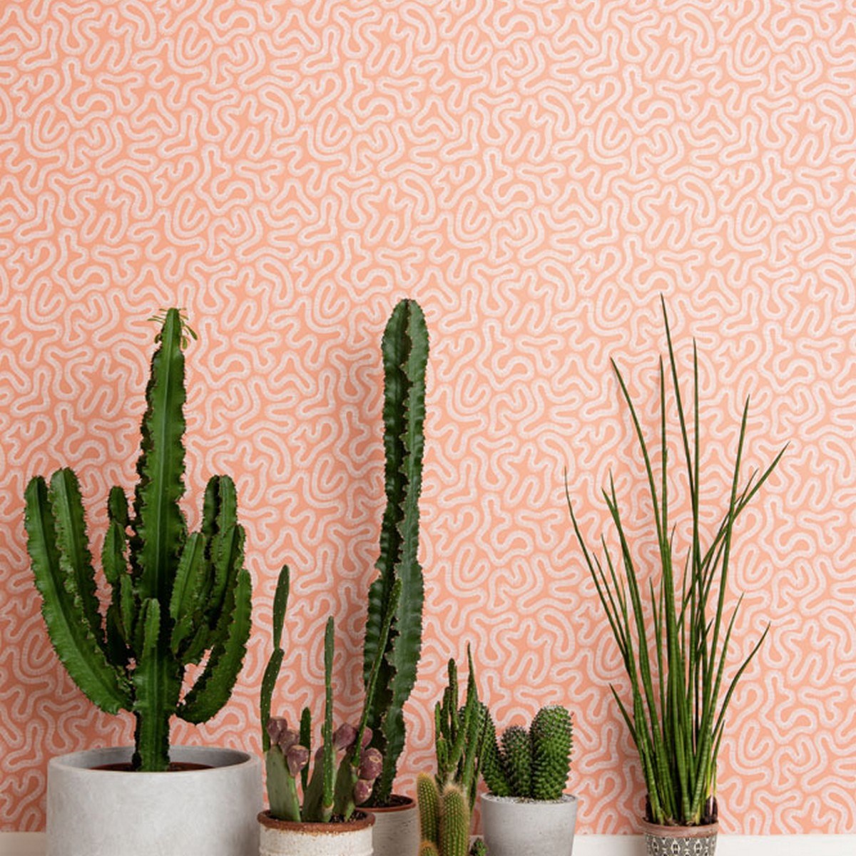 Tapet Pioneer Coral Peach Blusch Misp1340