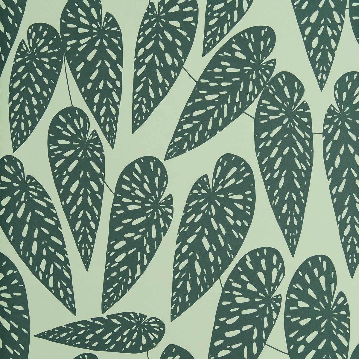 Tapet Seven Sisters Tropics Jungle Misp1293