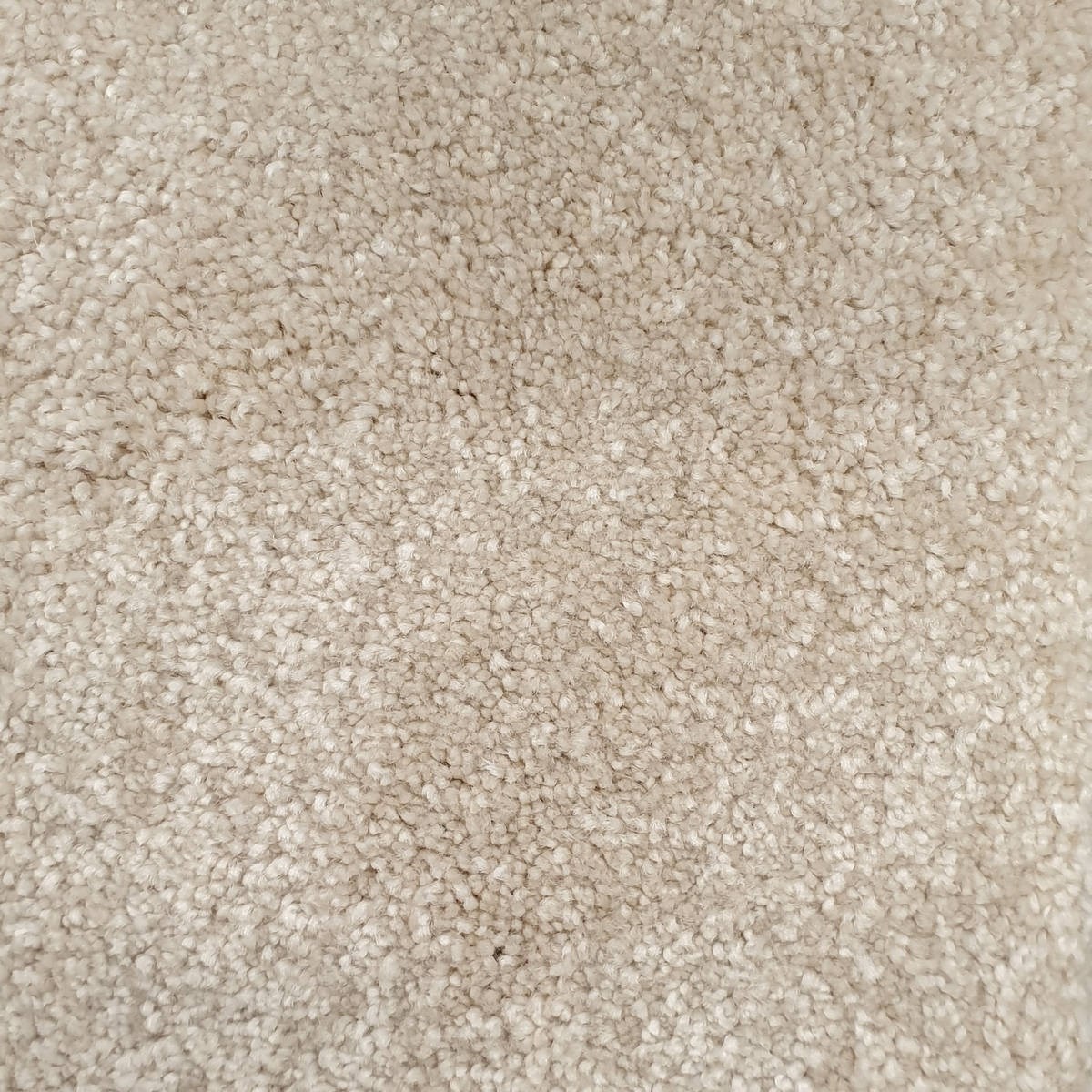 Heltäckningsmatta Majesty 603 400cm, Beige