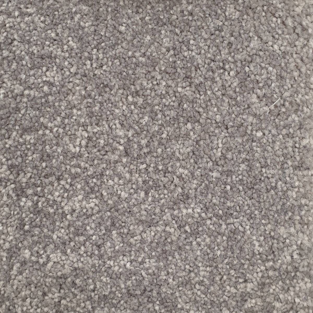 Heltäckningsmatta Majesty 606 400cm, Grå