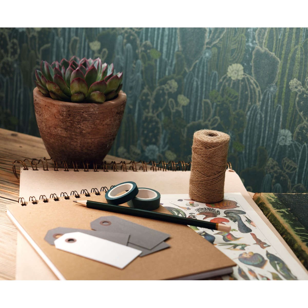 Tapet Botanica Cactaceae Vert Cactee Bota85927429