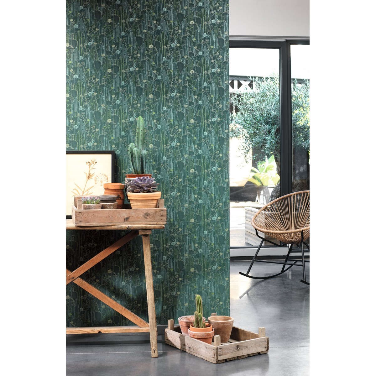 Tapet Botanica Cactaceae Vert Cactee Bota85927429