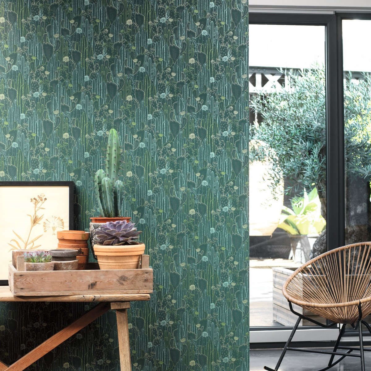 Tapet Botanica Cactaceae Vert Cactee Bota85927429