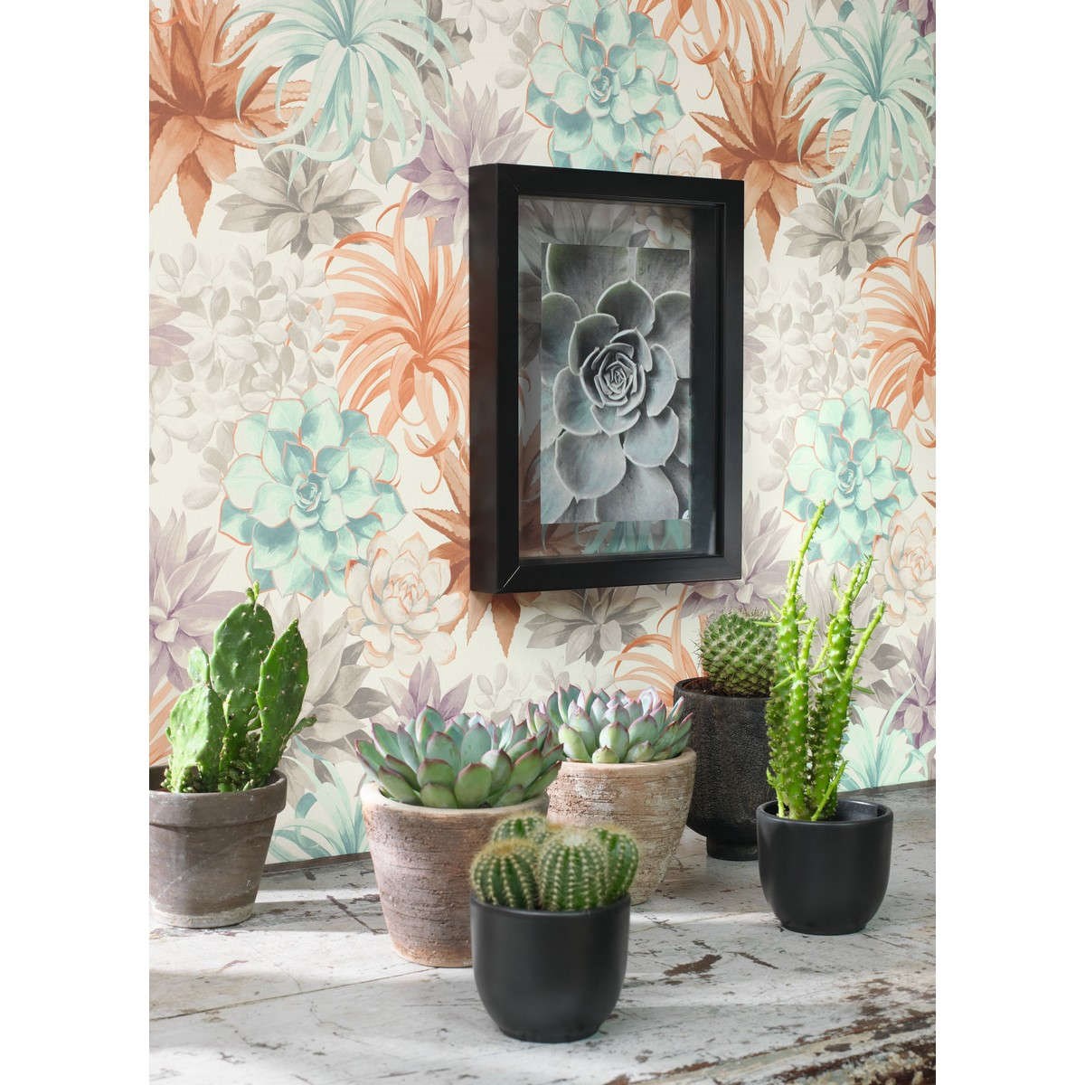 Tapet Botanica Echeveria Corail/rose Poudre Bota85914374