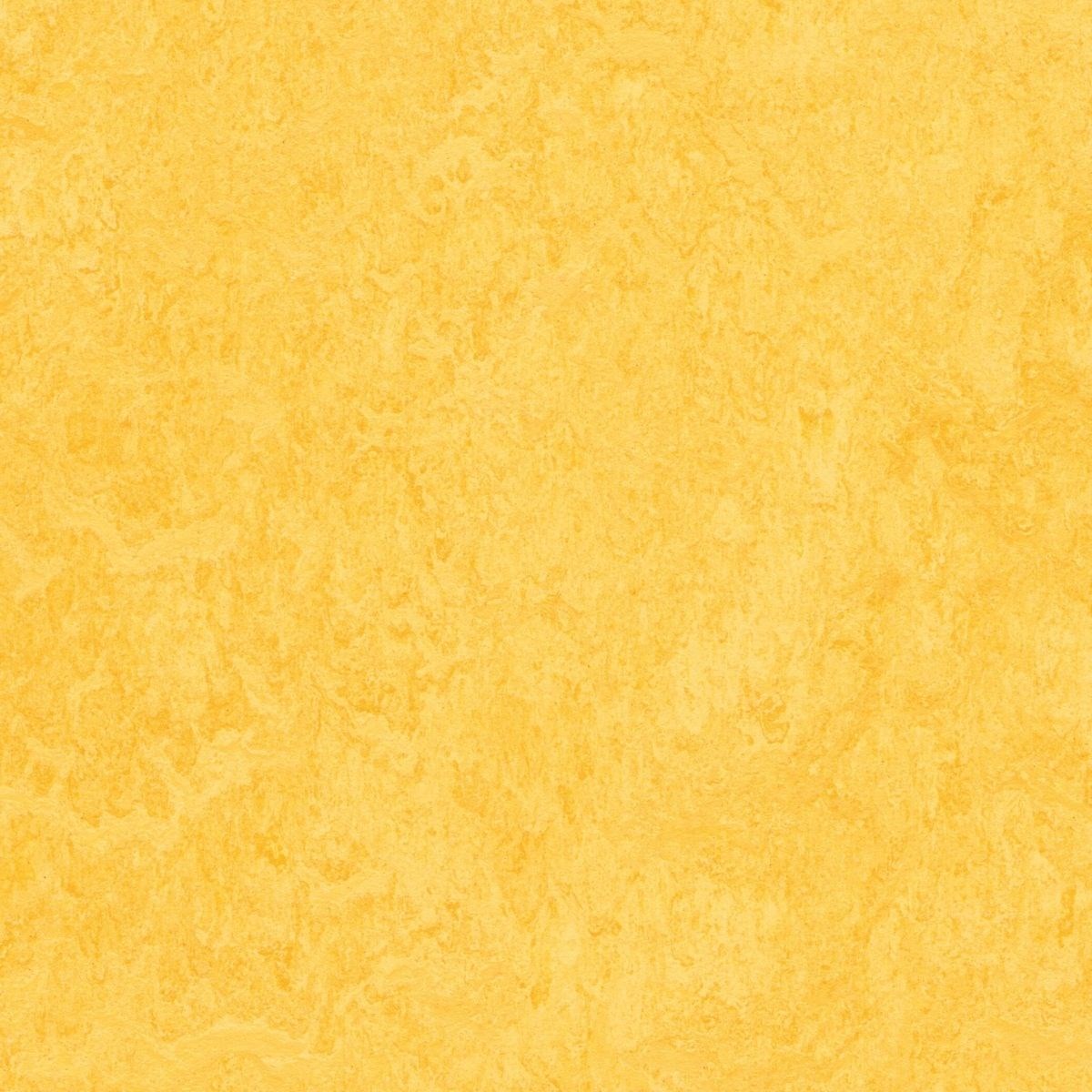 Linoleummatta Marmoleum Lemon Zest 3251 200cm