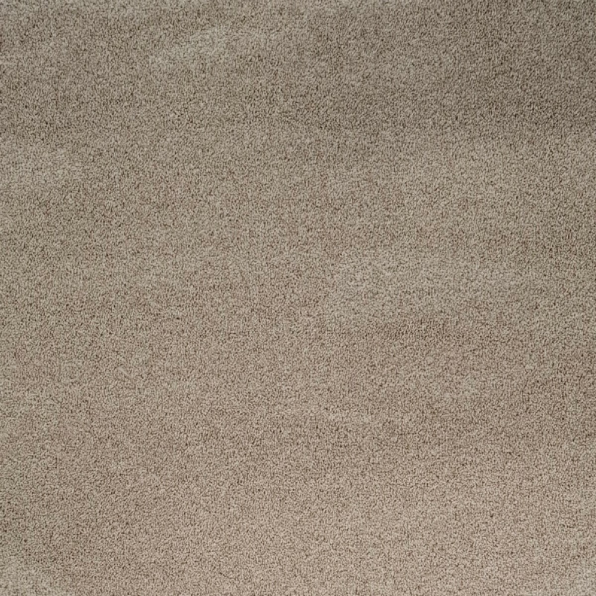 Heltäckningsmatta Ballad Sensations 230 500cm