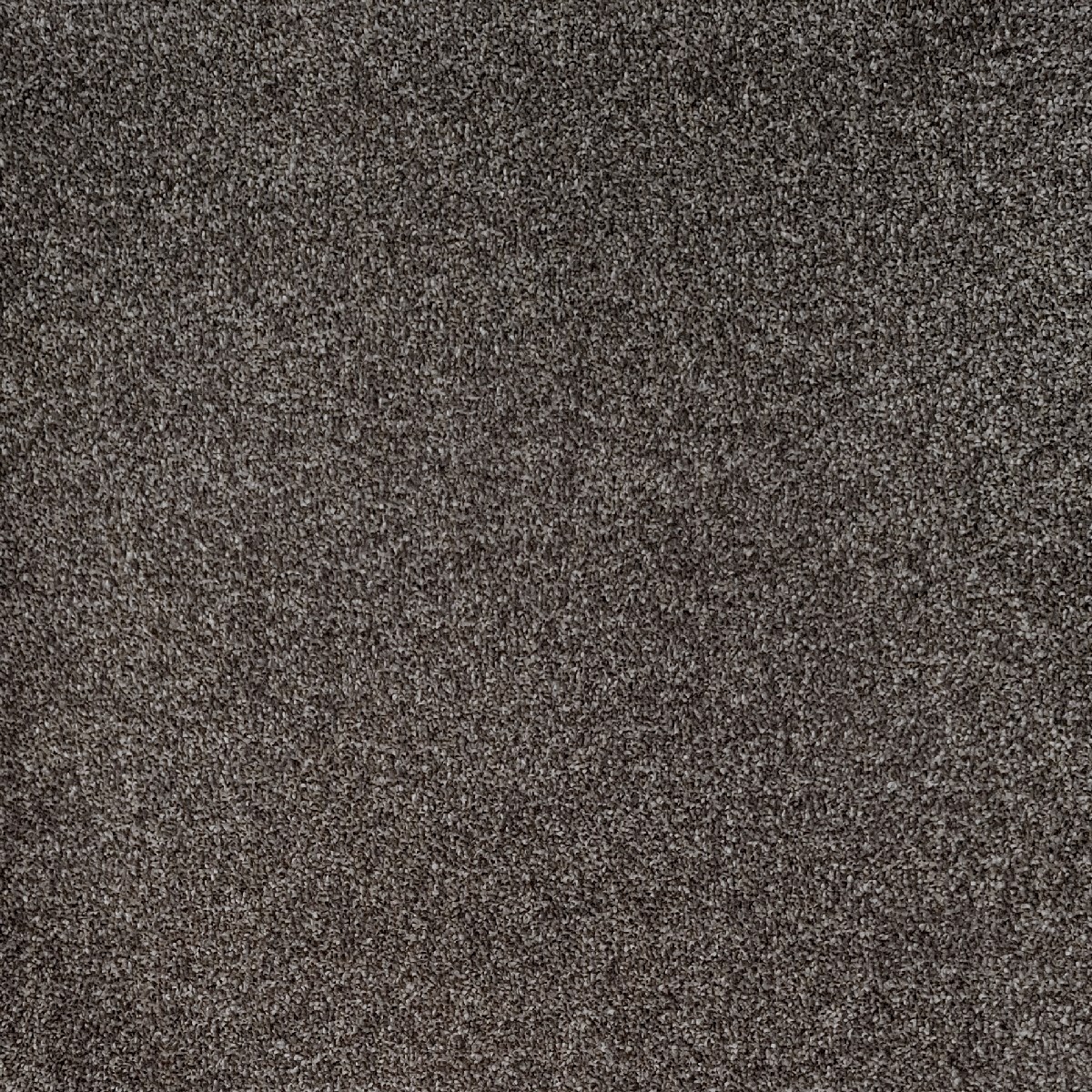 Heltäckningsmatta Ballad Sensations 830 500cm