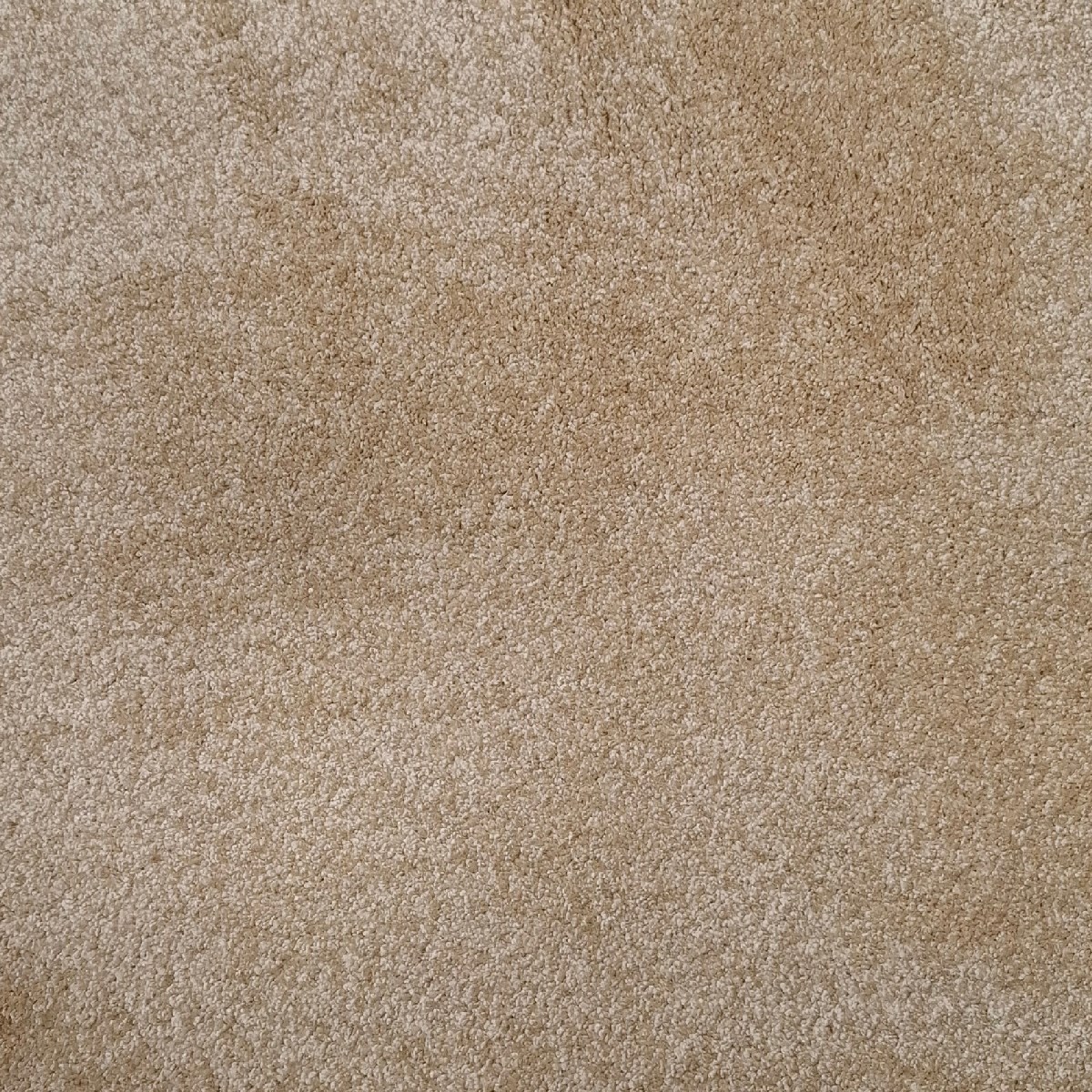 Heltäckningsmatta Equator Muslin 32 500cm