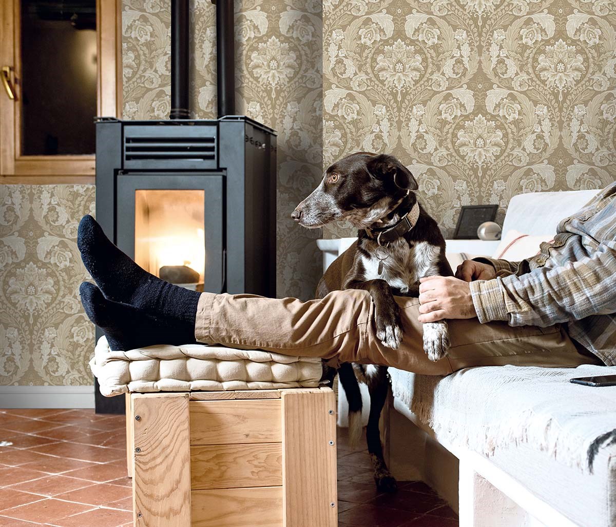 Tapet Carl Robinson # 21 Cl70005