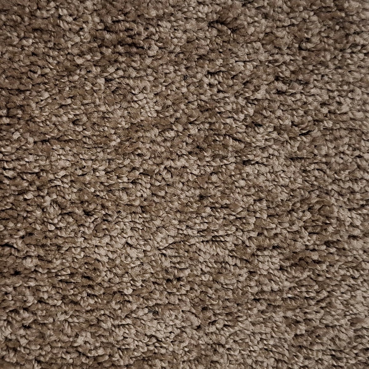 Heltäckningsmatta Tampa 42 400cm