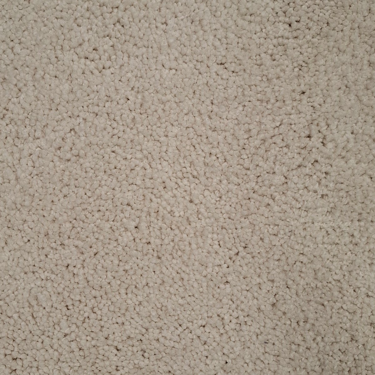 Heltäckningsmatta Dreamland 60 400cm, Vit