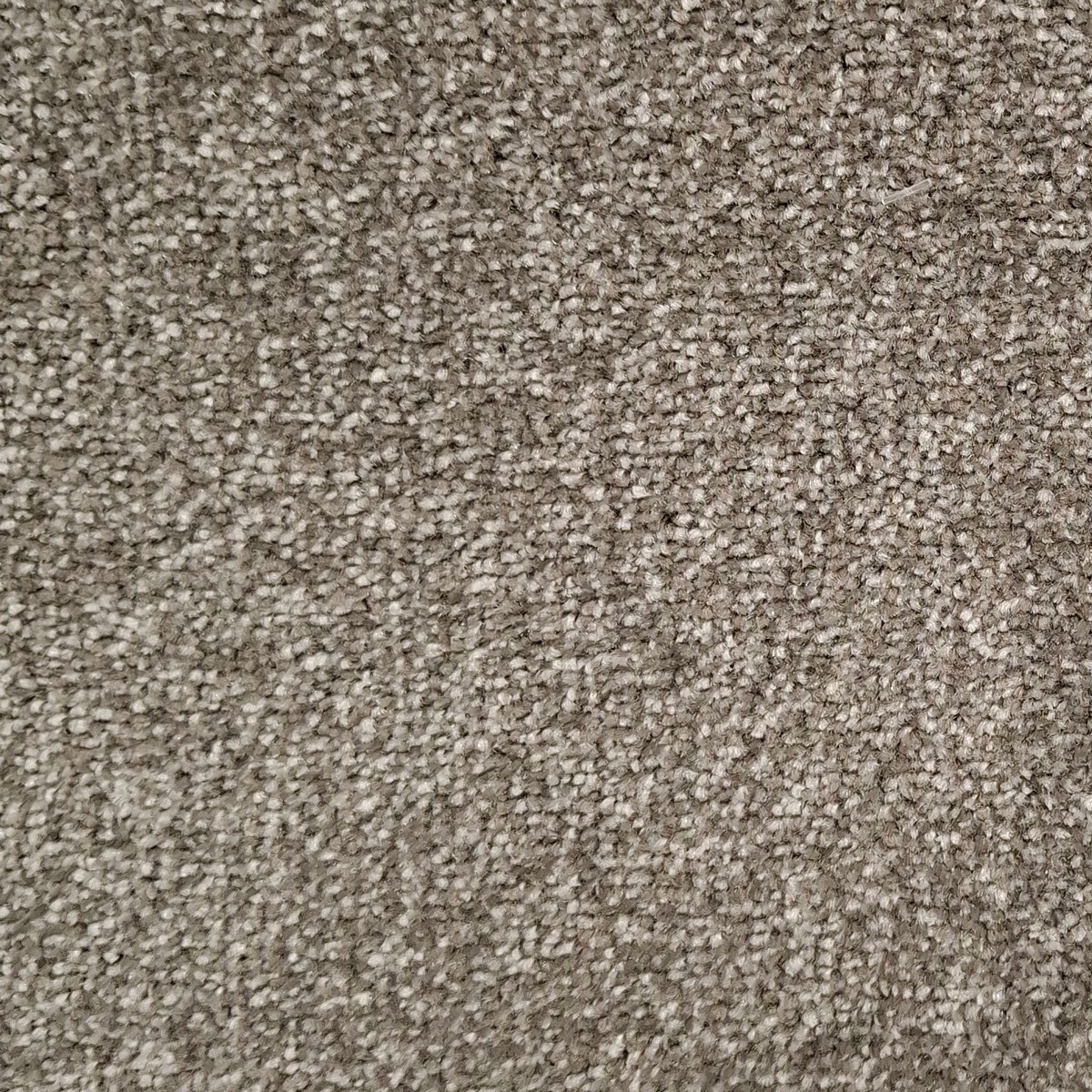 Heltäckningsmatta Startwist Edition Ash 833 400cm, Grå