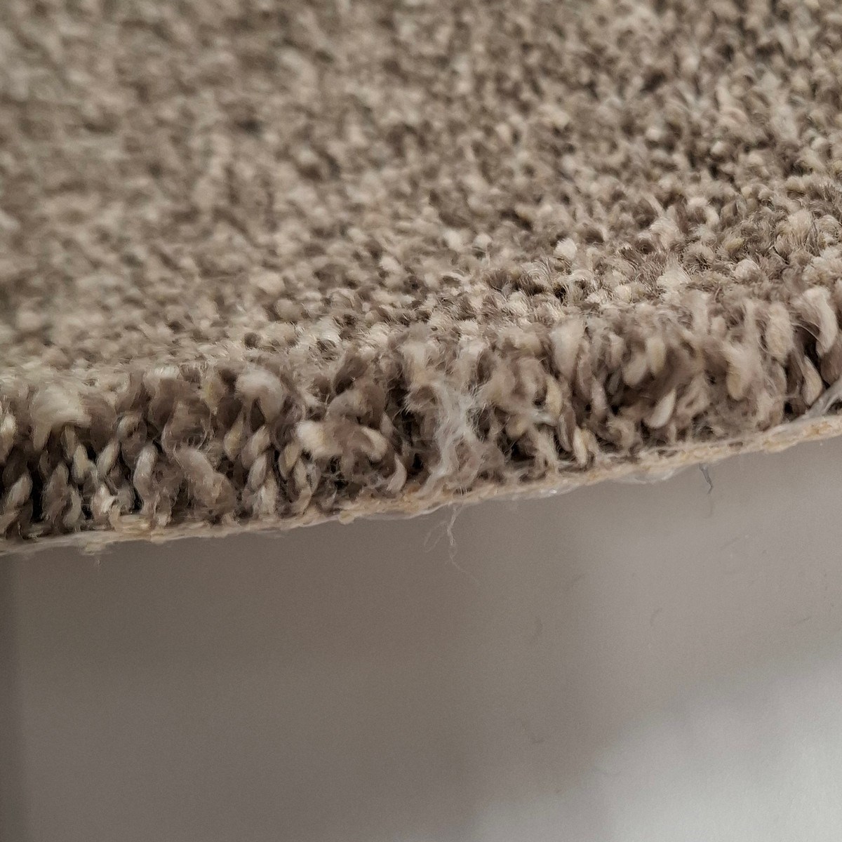 Heltäckningsmatta Inspiration Acorn 221 390cm