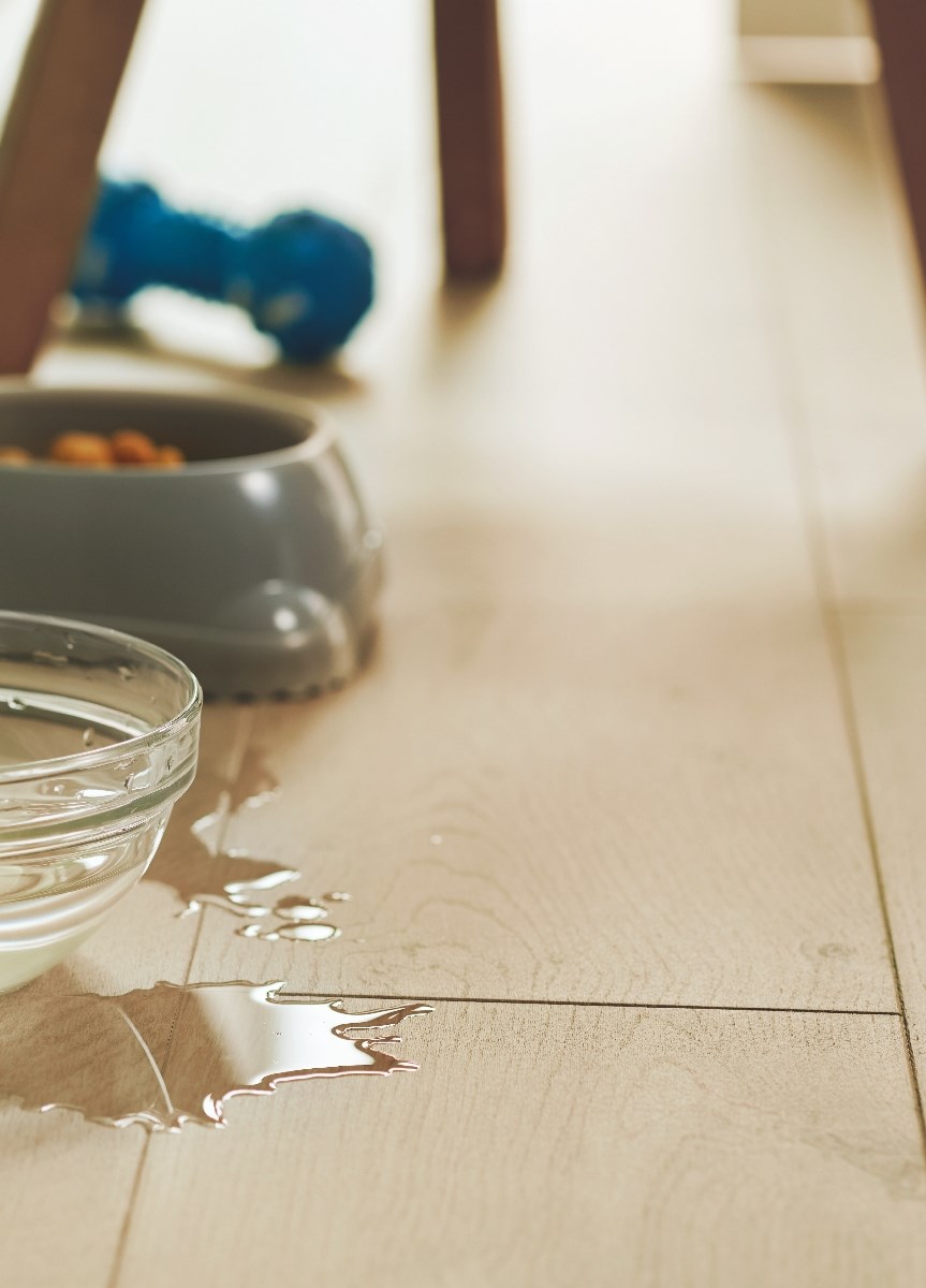 Laminatgolv Visby Coastal Oak Ek, 1-stav