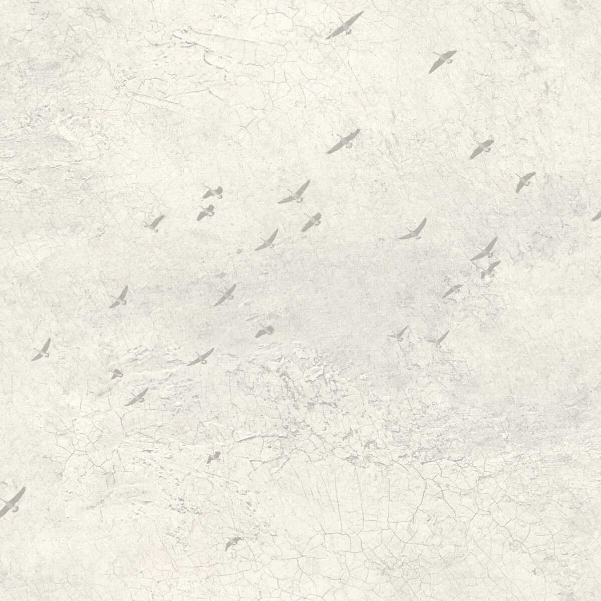 Tapet Transition Fj31005