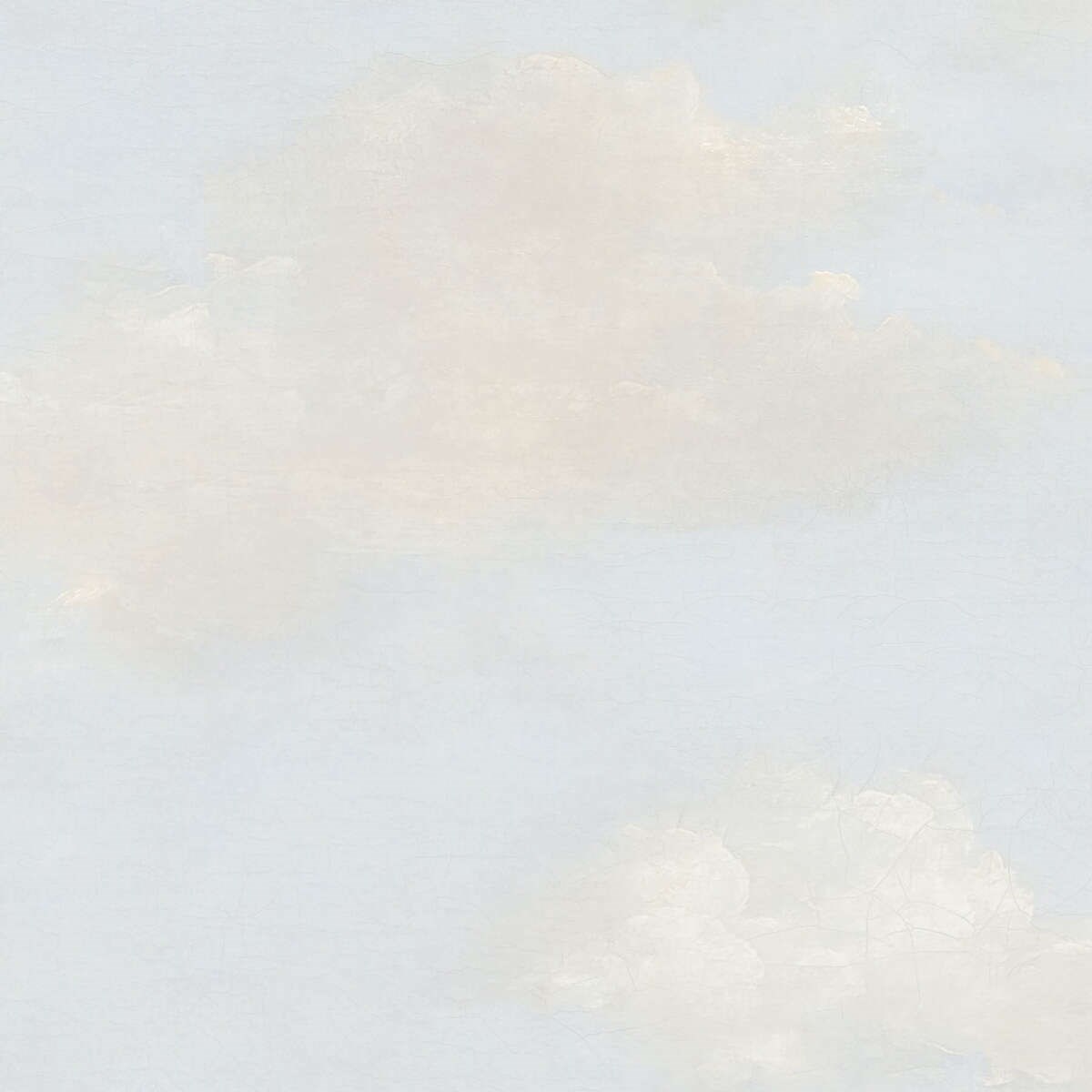 Tapet Transition Fj30907