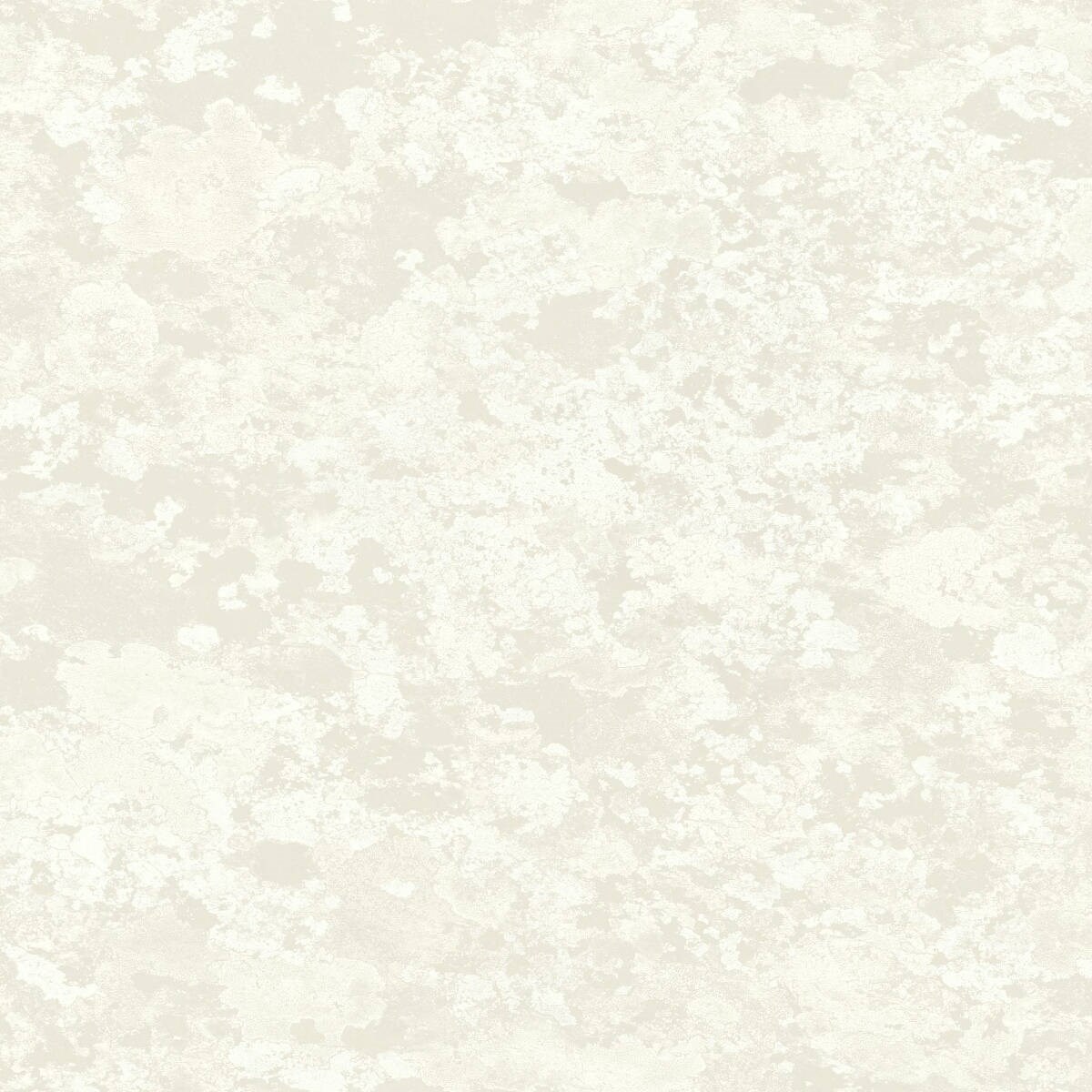 Tapet Transition Fj30310