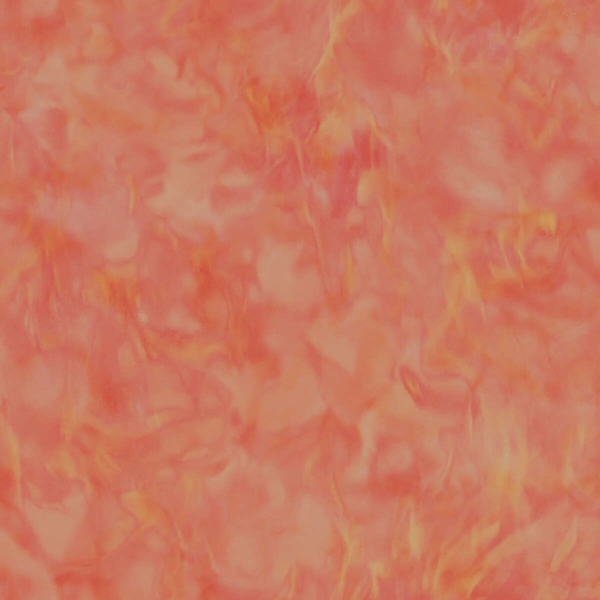 Tapet Transition Fj31911