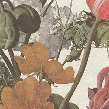 Tapet Masterpiece 358005