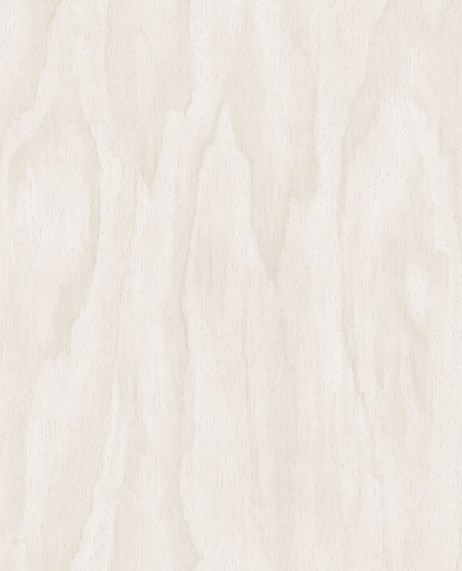 Tapet Geonature 366008