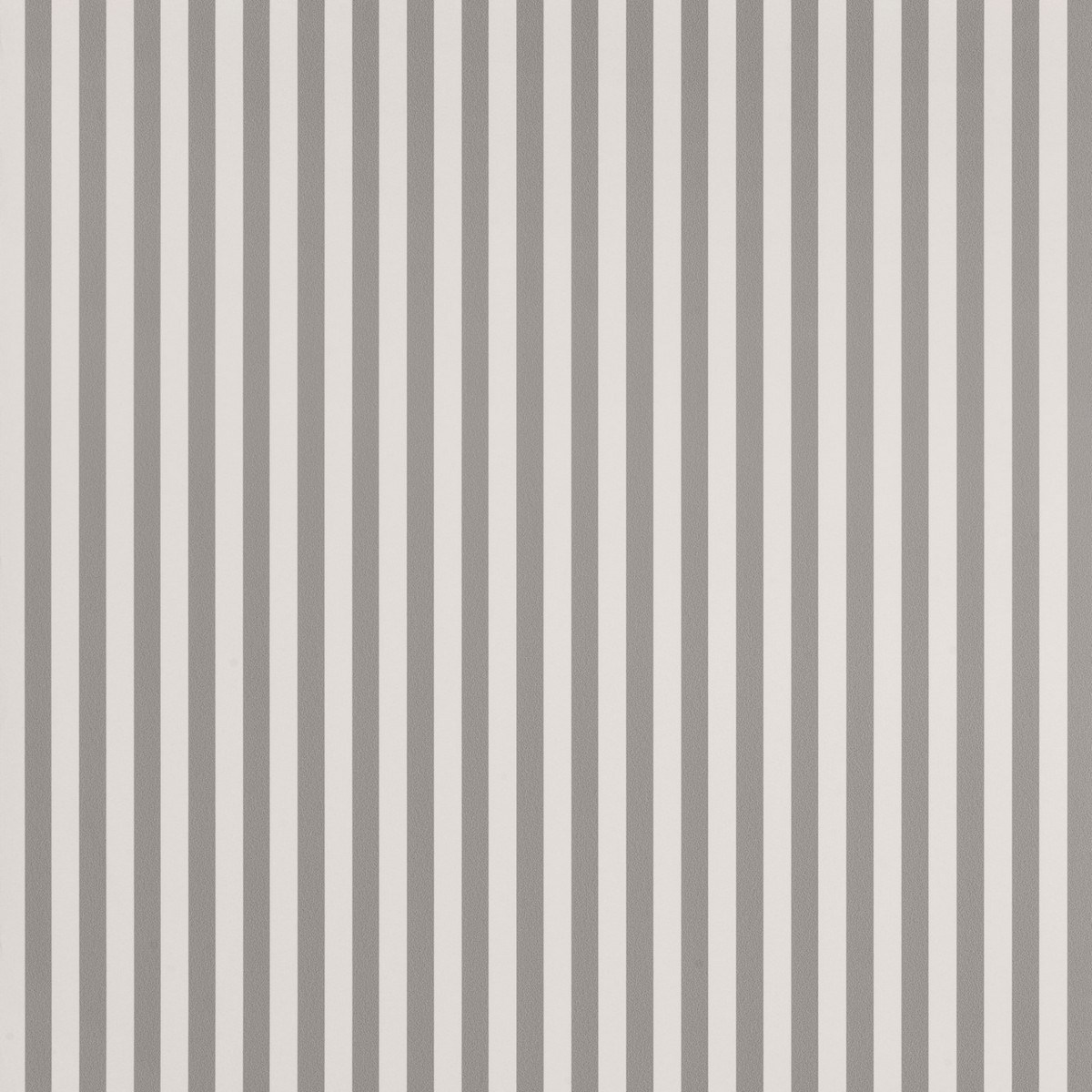 Tapet Fermliving Thin Lines 180